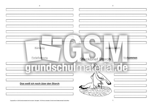 Storch-Faltbuch-vierseitig.pdf